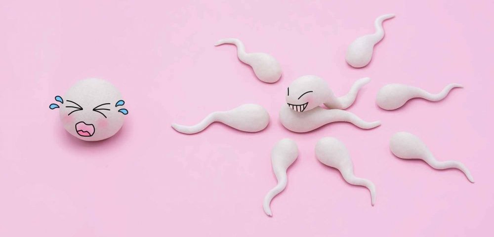 Comment connaitre sa période d’ovulation